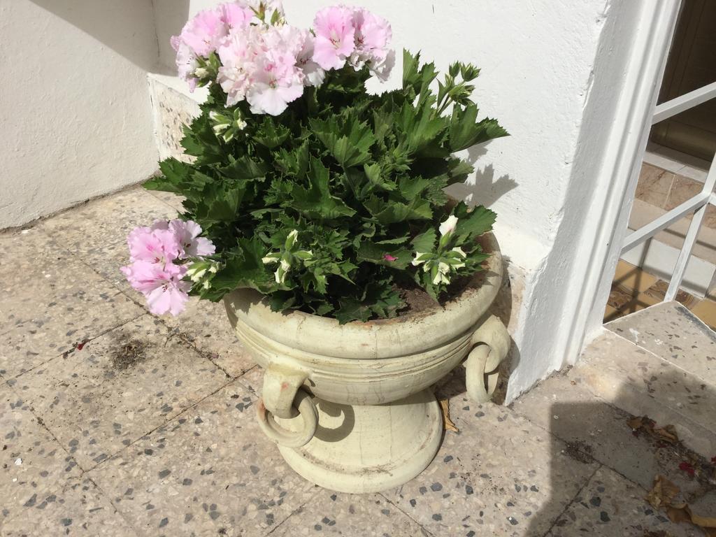 Case Vacanze Le Rose Villa Noto Buitenkant foto